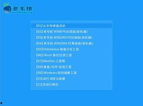 吃瓜小说系统,系统绑定，吃瓜成瘾